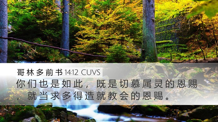 哥 林 多 前 书 14:12 CUVS Bible Verse Image