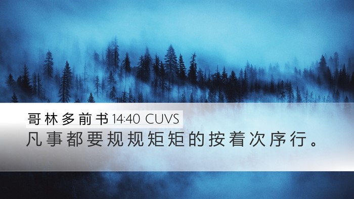 哥 林 多 前 书 14:40 CUVS Bible Verse Image