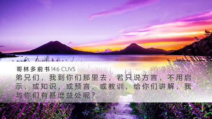 哥 林 多 前 书 14:6 CUVS Bible Verse Image