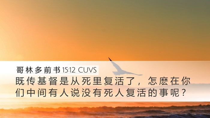 哥 林 多 前 书 15:12 CUVS Bible Verse Image