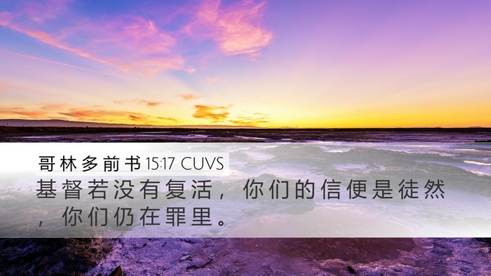 哥 林 多 前 书 15:17 CUVS Bible Verse Image