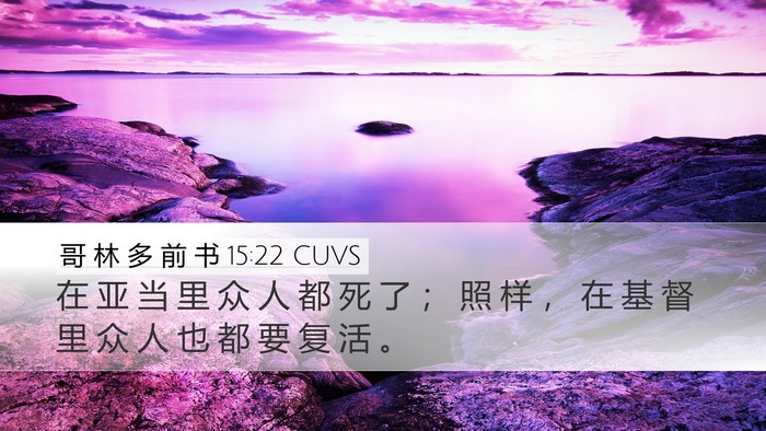 哥 林 多 前 书 15:22 CUVS Desktop Wallpaper - 在 亚 当 里 众 人 都 死 了 ； 照 样 - Desktop Bible Verse Wallpaper