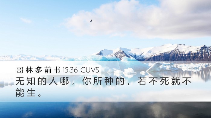 哥 林 多 前 书 15:36 CUVS Bible Verse Image