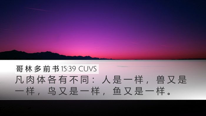 哥 林 多 前 书 15:39 CUVS Desktop Wallpaper - 凡 肉 体 各 有 不 同 ： 人 是 一 样 - Desktop Bible Verse Wallpaper