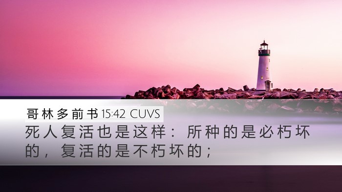 哥 林 多 前 书 15:42 CUVS Bible Verse Image