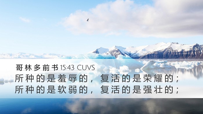 哥 林 多 前 书 15:43 CUVS Bible Verse Image