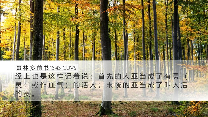 哥 林 多 前 书 15:45 CUVS Bible Verse Image