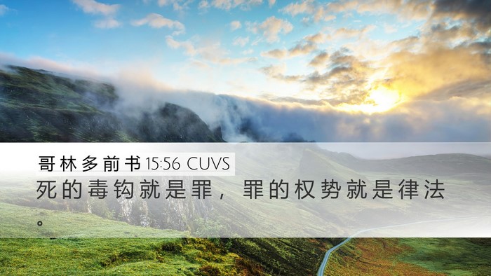 哥 林 多 前 书 15:56 CUVS Bible Verse Image