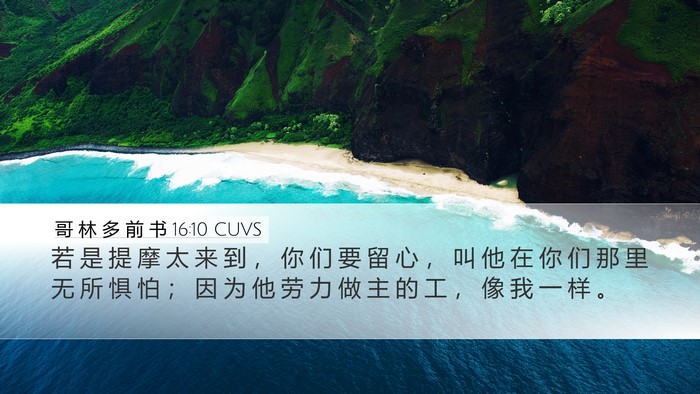 哥 林 多 前 书 16:10 CUVS Bible Verse Image