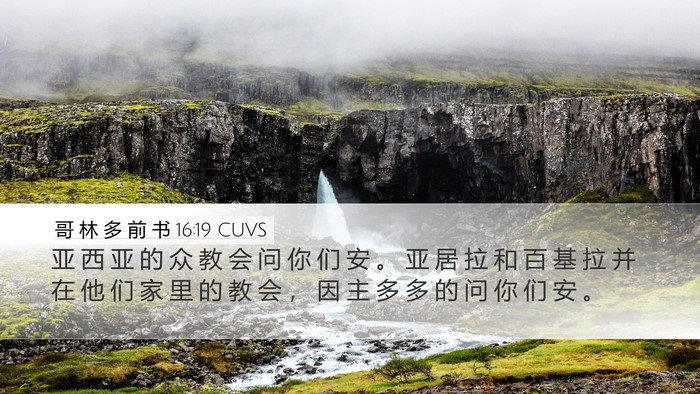 哥 林 多 前 书 16:19 CUVS Bible Verse Image
