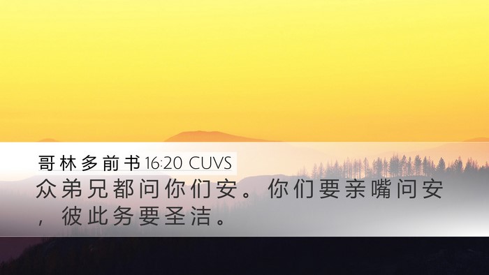 哥 林 多 前 书 16:20 CUVS Bible Verse Image