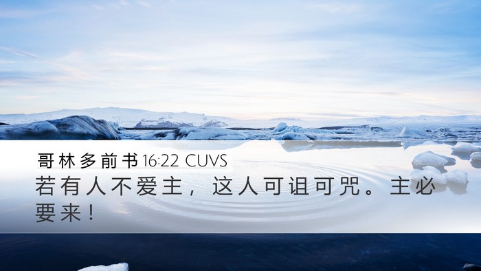 哥 林 多 前 书 16:22 CUVS Bible Verse Image