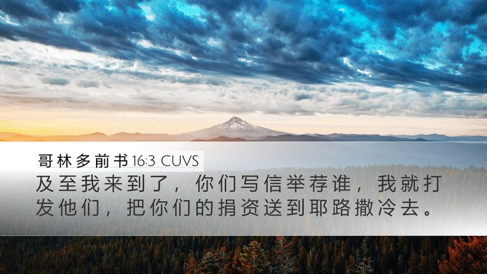 哥 林 多 前 书 16:3 CUVS Bible Verse Image