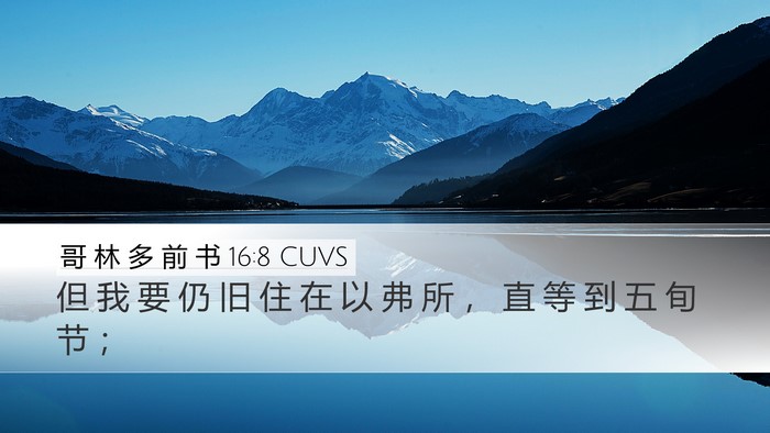 哥 林 多 前 书 16:8 CUVS Bible Verse Image