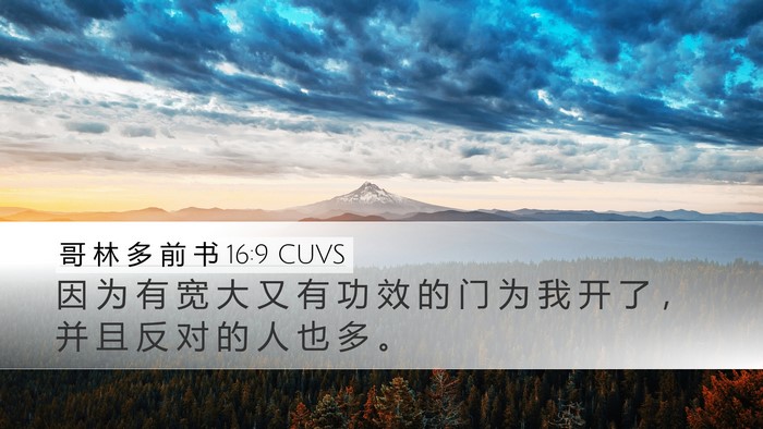 哥 林 多 前 书 16:9 CUVS Bible Verse Image