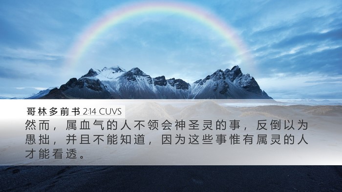 哥 林 多 前 书 2:14 CUVS Bible Verse Image