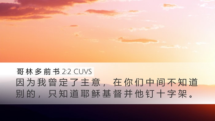 哥 林 多 前 书 2:2 CUVS Bible Verse Image