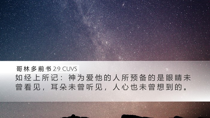 哥 林 多 前 书 2:9 CUVS Bible Verse Image