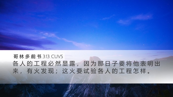 哥 林 多 前 书 3:13 CUVS Bible Verse Image