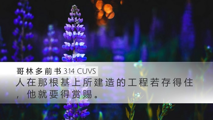 哥 林 多 前 书 3:14 CUVS Bible Verse Image