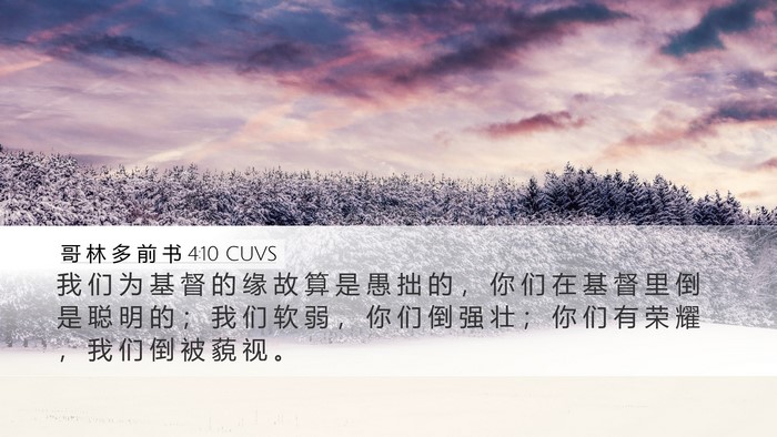 哥 林 多 前 书 4:10 CUVS Bible Verse Image