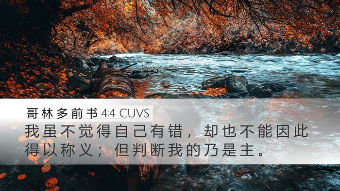 哥 林 多 前 书 4:4 CUVS Bible Verse Image