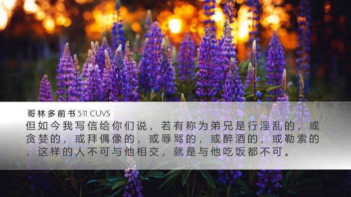 哥 林 多 前 书 5:11 CUVS Bible Verse Image