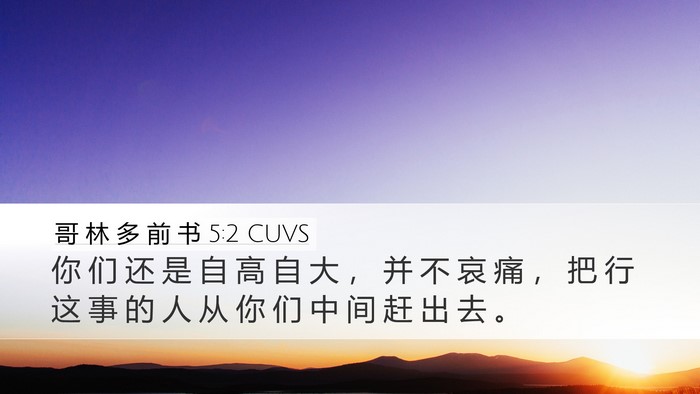 哥 林 多 前 书 5:2 CUVS Bible Verse Image