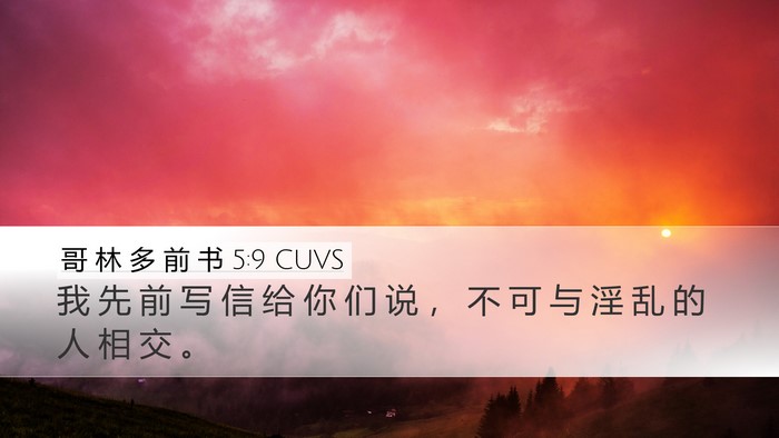 哥 林 多 前 书 5:9 CUVS Bible Verse Image