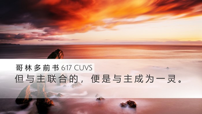 哥 林 多 前 书 6:17 CUVS Bible Verse Image