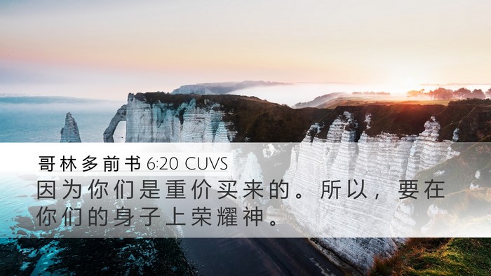 哥 林 多 前 书 6:20 CUVS Bible Verse Image