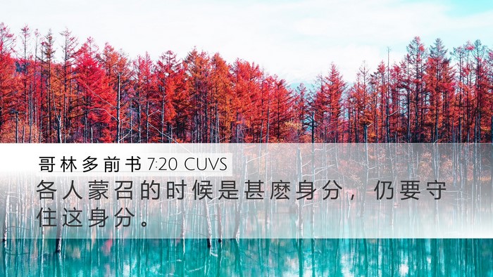 哥 林 多 前 书 7:20 CUVS Bible Verse Image
