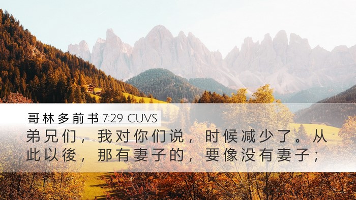 哥 林 多 前 书 7:29 CUVS Bible Verse Image
