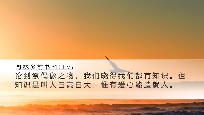 哥 林 多 前 书 8:1 CUVS Bible Verse Image