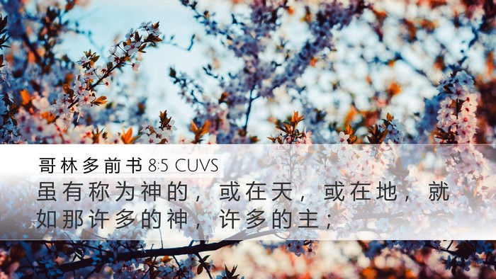 哥 林 多 前 书 8:5 CUVS Bible Verse Image