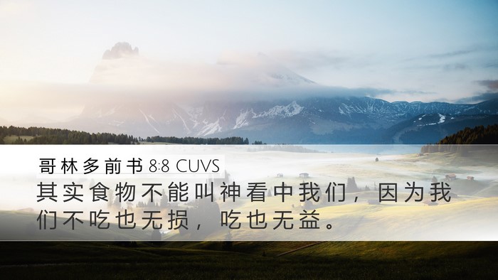 哥 林 多 前 书 8:8 CUVS Bible Verse Image