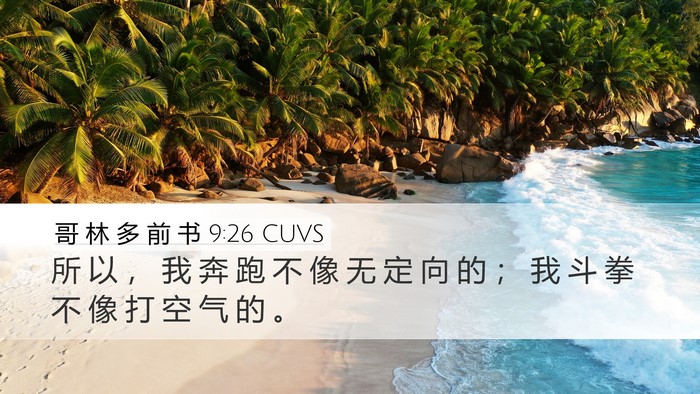 哥 林 多 前 书 9:26 CUVS Bible Verse Image