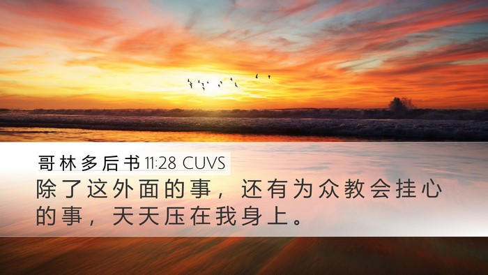 哥 林 多 后 书 11:28 CUVS Bible Verse Image