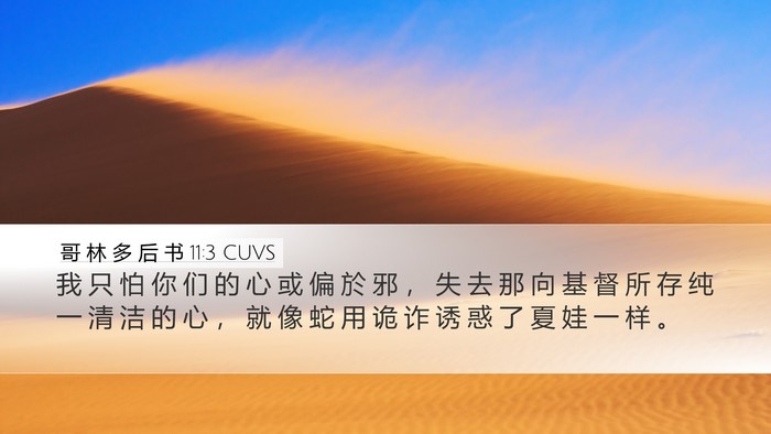 哥 林 多 后 书 11:3 CUVS Bible Verse Image