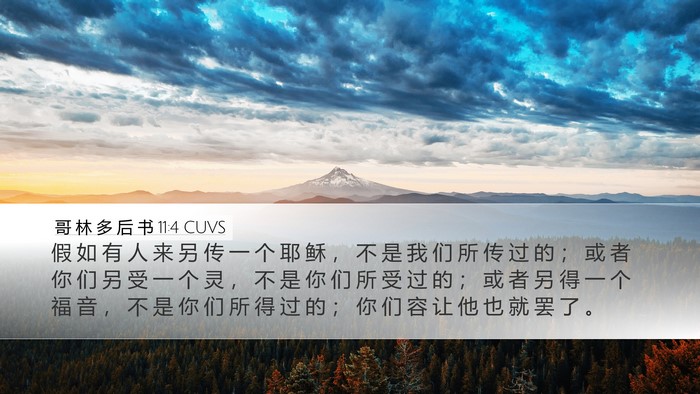 哥 林 多 后 书 11:4 CUVS Bible Verse Image