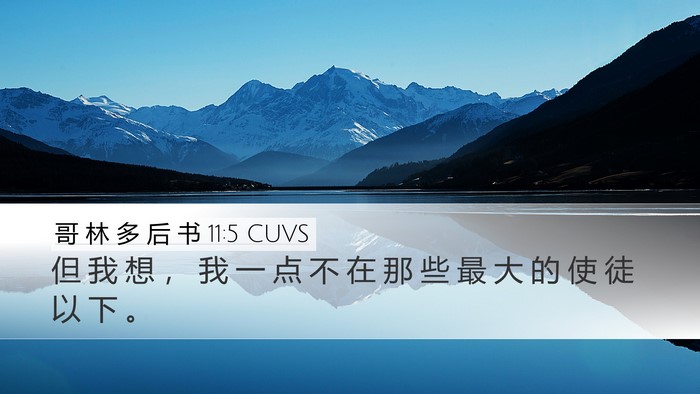 哥 林 多 后 书 11:5 CUVS Bible Verse Image