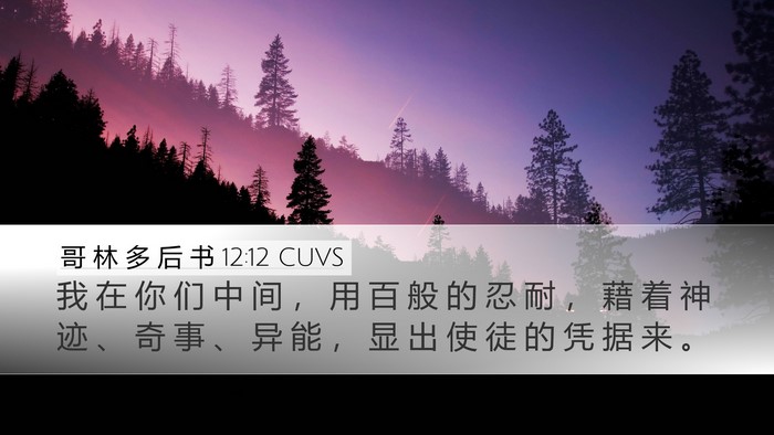 哥 林 多 后 书 12:12 CUVS Bible Verse Image