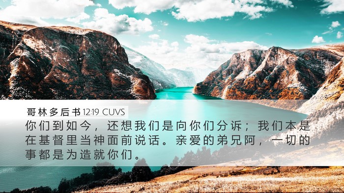 哥 林 多 后 书 12:19 CUVS Bible Verse Image
