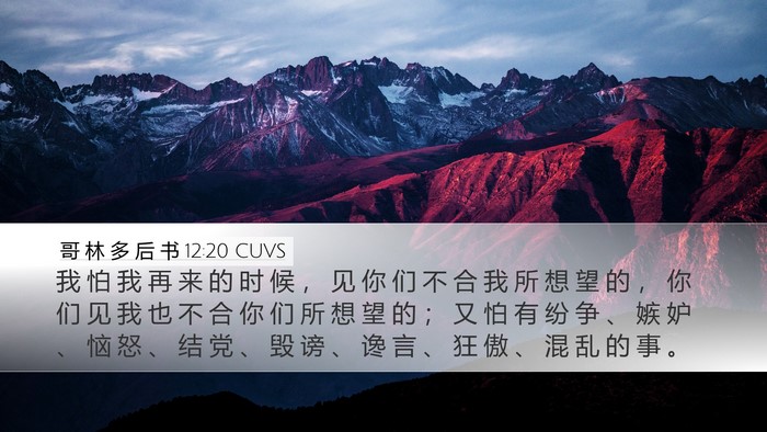 哥 林 多 后 书 12:20 CUVS Bible Verse Image