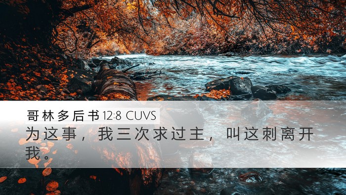 哥 林 多 后 书 12:8 CUVS Bible Verse Image