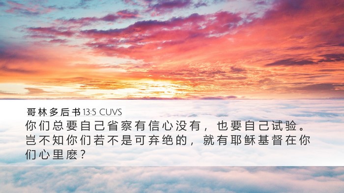 哥 林 多 后 书 13:5 CUVS Bible Verse Image