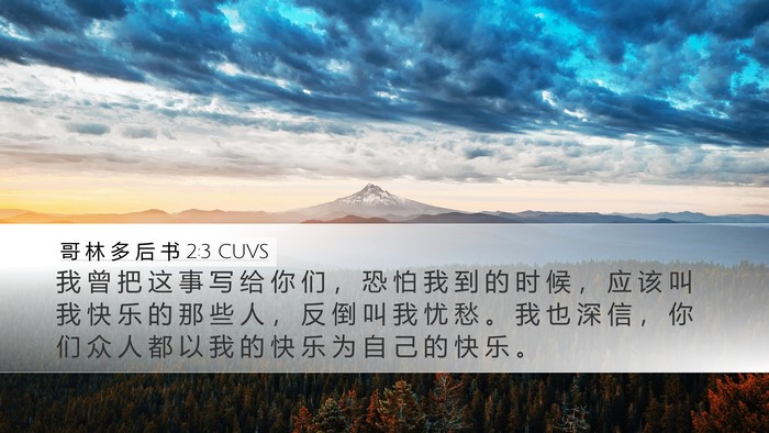 哥 林 多 后 书 2:3 CUVS Bible Verse Image