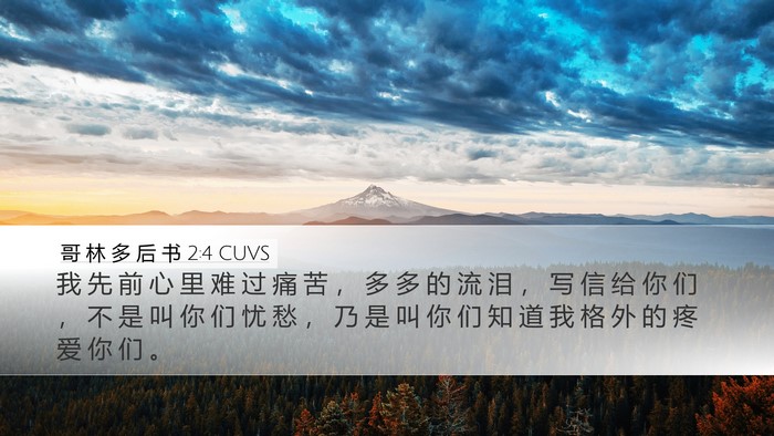 哥 林 多 后 书 2:4 CUVS Bible Verse Image