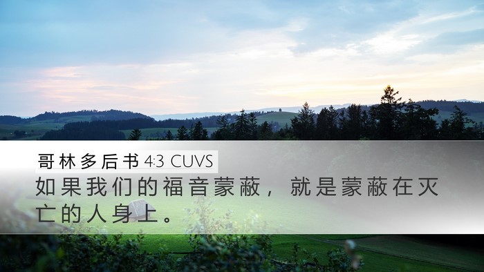 哥 林 多 后 书 4:3 CUVS Bible Verse Image