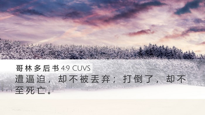 哥 林 多 后 书 4:9 CUVS Bible Verse Image